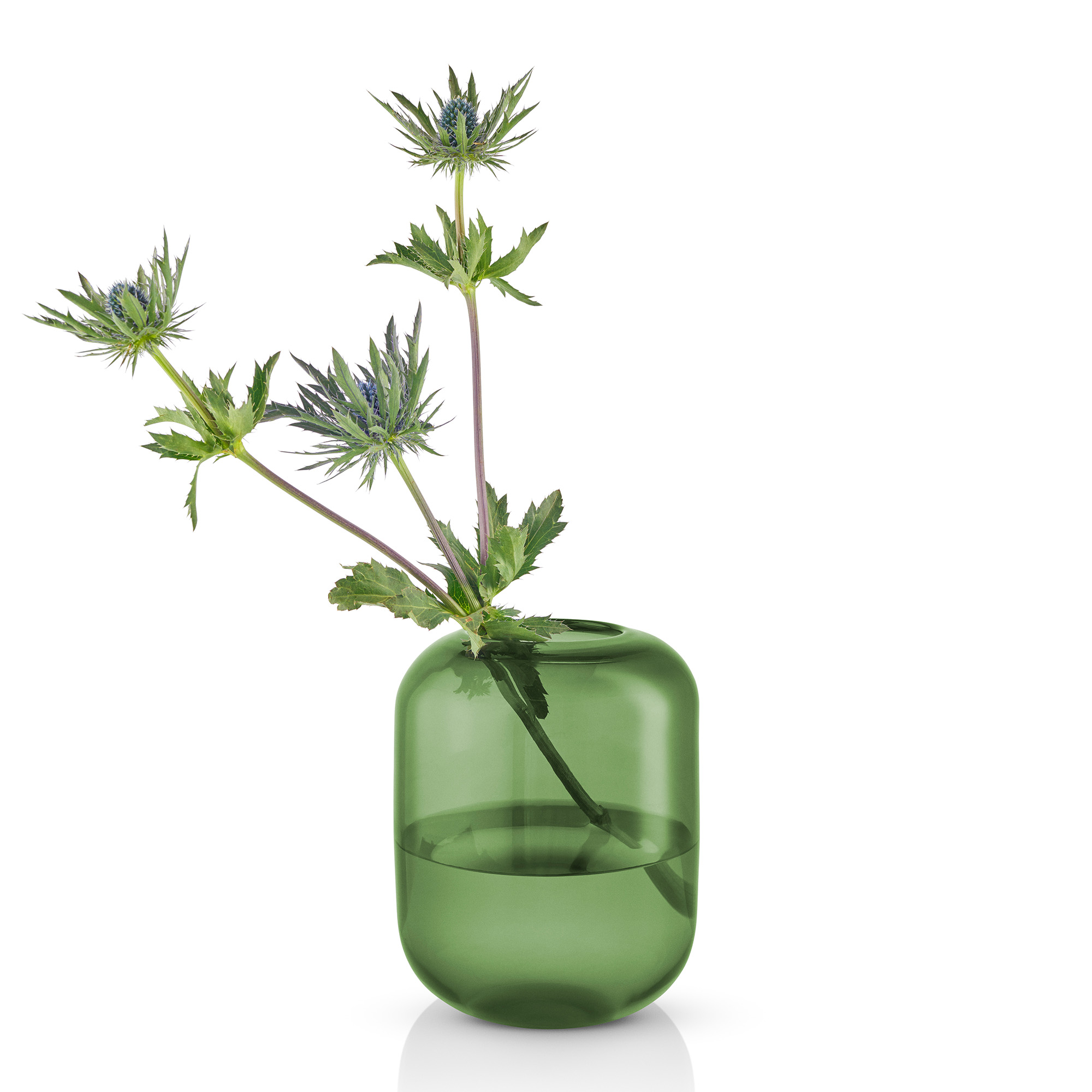 571392_Acorn_vase_H_16_5_Pine_regi2_aRGB_High